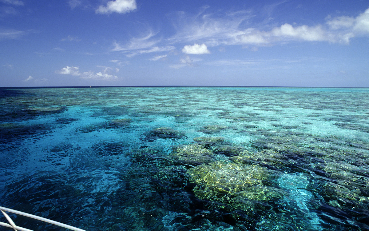 The Great Barrier Reef